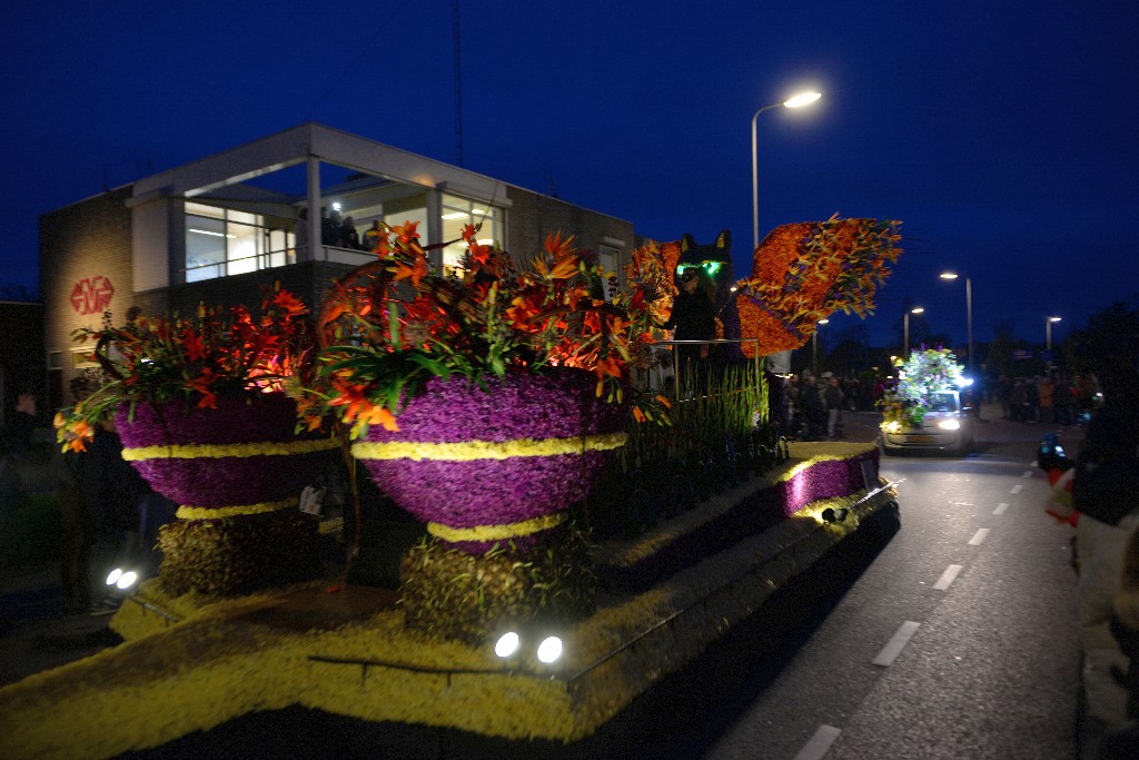 ../Images/Bloemencorso Noordwijkerhout 188.jpg